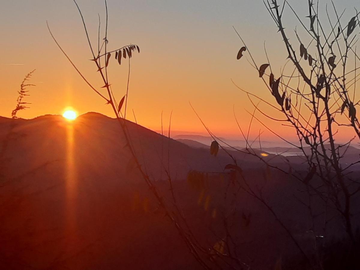 Gite L'Or Des Cevennes Saint-Andre-Capceze Eksteriør bilde