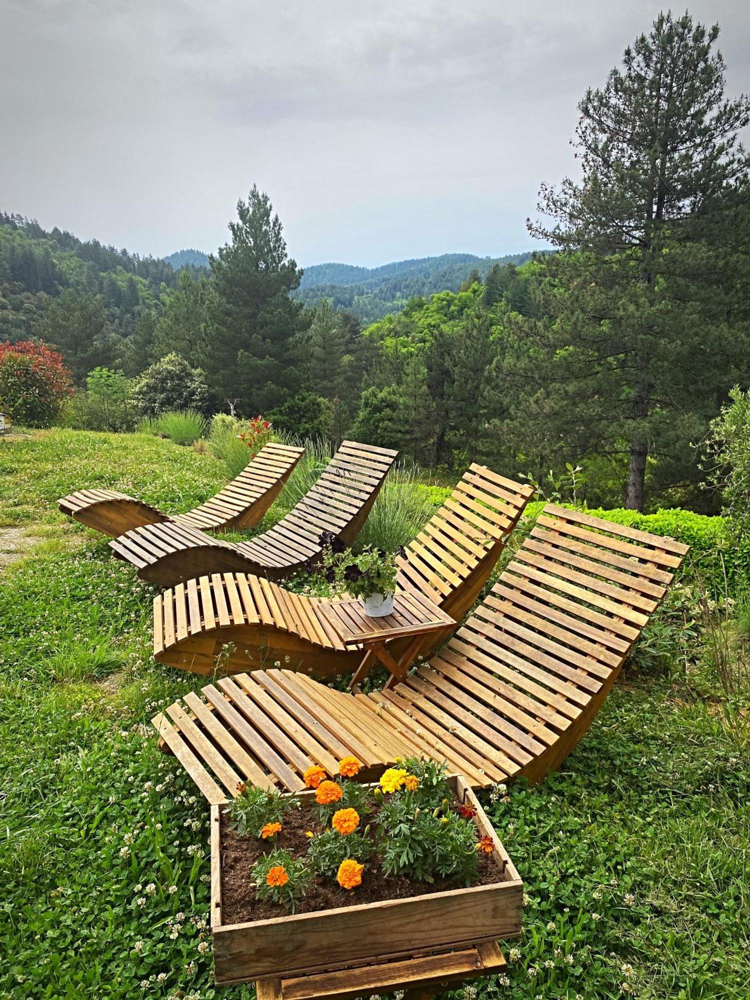Gite L'Or Des Cevennes Saint-Andre-Capceze Eksteriør bilde