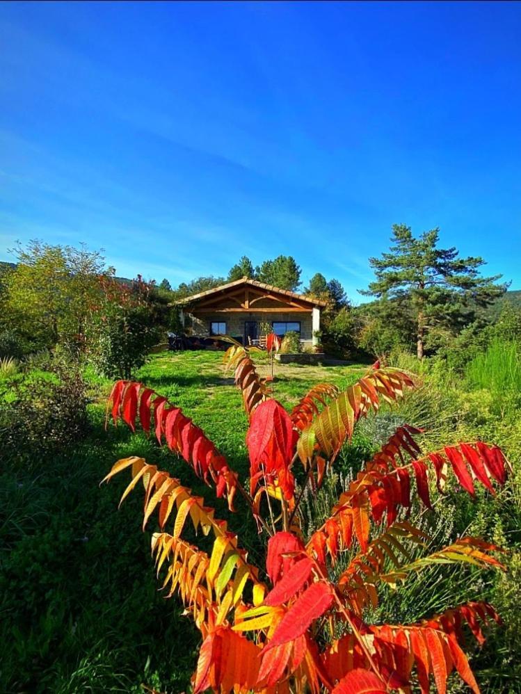 Gite L'Or Des Cevennes Saint-Andre-Capceze Eksteriør bilde